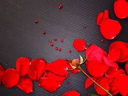 Frumos petale de trandafir șablon ppt fundal negru