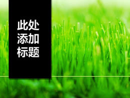 Czarny pionowy tytuł kiełkować szablon ppt zielona trawa