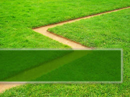Yeşil çim ve yol PPT doğa şablonu