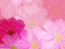 10 bellissimi petali viola PPT immagine di sfondo download