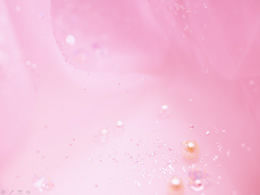 10 różowych odświeżających obrazów tła PPT do pobrania