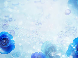 Flori, petale, imagini de fundal PPT albastre frumoase 4 coli