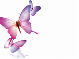 Piękny fioletowy motyl szablon ppt