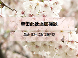 Modèle naturel PPT de fleur de cerisier romantique
