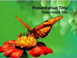 Butterfly picking honey ppt template