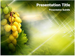 Grape PPT natural template