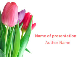 Flowers ppt template