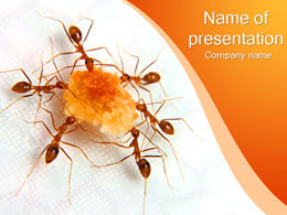 螞蟻分享食物-PPT動物模板
