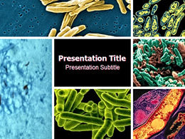 Modelo ppt de bactérias da tuberculose para a indústria médica