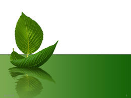 보트 -ppt 템플릿으로 녹색 잎