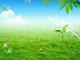 Rumput hijau, langit biru, daun hijau, gelembung musim semi, template ppt