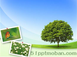 Doğa fotoğraf albümü ppt şablonu