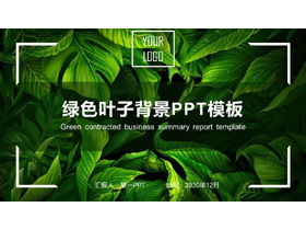 Exquisite grüne Blätter PPT-Vorlage