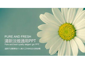 Elegante und frische PPT-Vorlage mit kleinem Blumenhintergrund