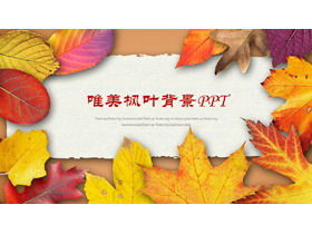 Golden fallen leaves background PPT template