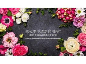 美麗的花朵背景韓式PPT模板