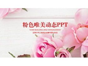 Pink beautiful rose background PPT template