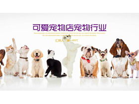 狗和貓排隊背景寵物PPT模板