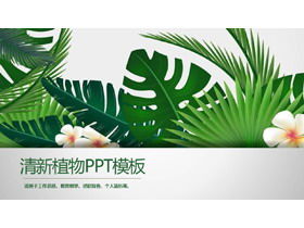 Green wide leaf plant background PPT template