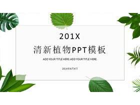 Fresh green plant leaf background PPT template