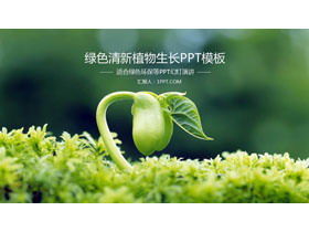 Green sprout seedling plant background environmental protection PPT template