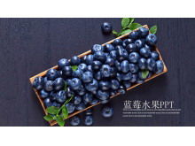 紫色水果蓝莓PPT模板
