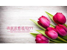 爱情人节PPT模板与精美的玫瑰花朵背景