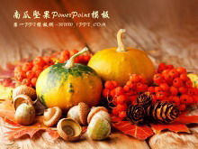 Pumpkin nut background vegetable PPT template
