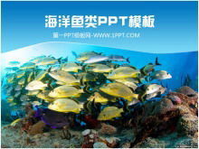 美麗的海底世界魚學校魚PPT模板