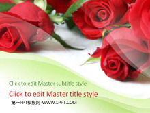 Love slide template with bright rose background Love slide template with bright rose background