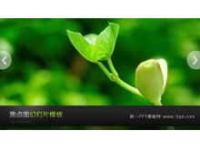 Download de modelo de apresentação de slides de plantas de brotos verdes dinâmicos