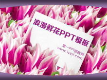 Romantic tulip background of love PowerPoint Template