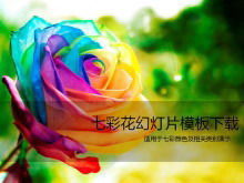 Template PPT mawar berwarna-warni yang indah