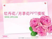 Download do modelo do PowerPoint de fundo de flor rosa peônia elegante