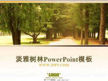 Download del modello PowerPoint sfondo del parco boschi