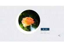 Blumendynamische Pflanzenhintergrund-PPT-Schablone mit Hintergrundmusik