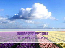 Tulips under the sky PowerPoint Template