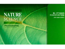 Green of life green plant PowerPoint sunum şablonları