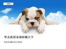 Download del modello PPT animale sfondo cane carino