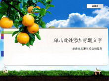 PPT-Schablone des Orangenhintergrundpflanzenfruchtthemas