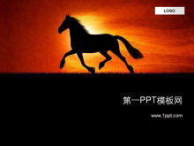 Rularea șabloanelor PPT Mustang