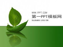 Einfache Blatt Hintergrund Pflanze PPT Vorlage herunterladen