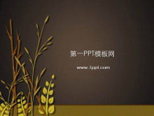 水稻小麦背景植物幻灯片模板下载