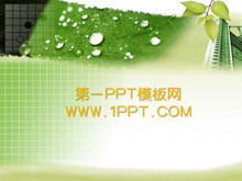 Grüne Blatt Hintergrund Pflanze PPT Vorlage herunterladen