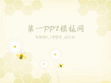 Elegant bee background PPT template download