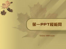 Elegant maple leaf background art PPT template download