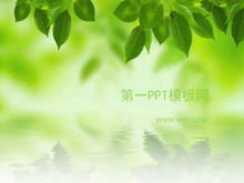 Elegante plantilla de PPT de hojas coreanas descarga