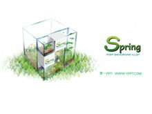 Frische und elegante PPT-Vorlage für Frühlingspflanzen