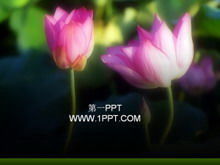 Büyüleyici lotus PPT şablon indir