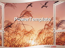Red reed PPT template download